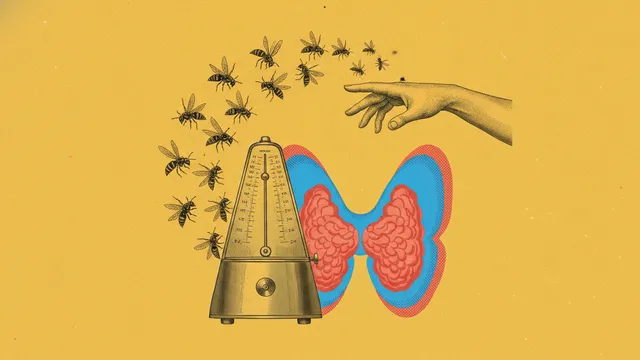 Anti-TPO : interpréter la dynamique des anticorps thyroïdiens