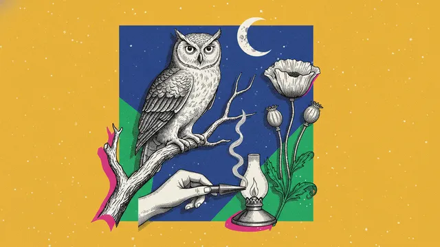 Bien dormir naturellement : ce que la naturopathie peut t'apporter