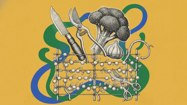 Cancer et alimentation, ce que la micronutrition change dans l'équation
