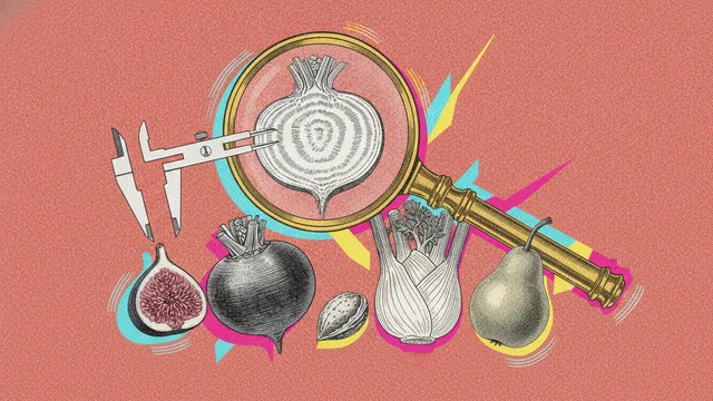 Les clefs du diagnostic de l'individualité, Dr Paul Carton, l'art d'observer pour mieux accompagner
