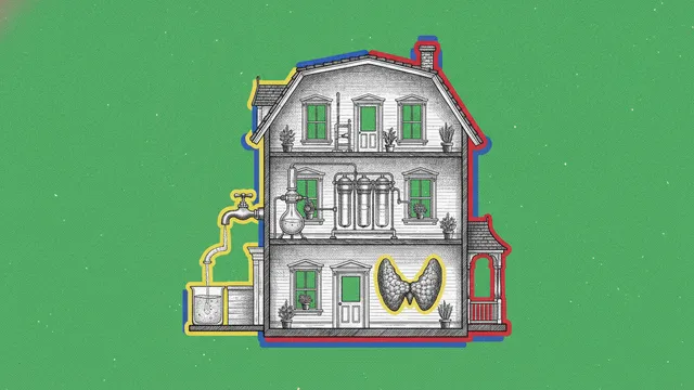 Fluor et toxines thyroïdiennes : l'audit de ta maison en 9 points