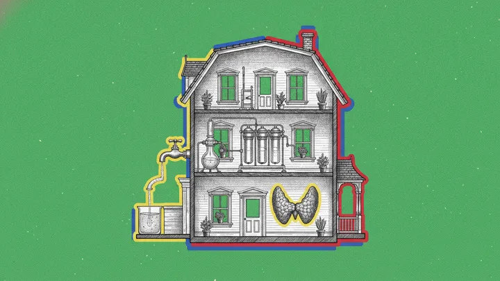 Flúor y toxinas tiroideas: la auditoría de tu casa en 9 puntos