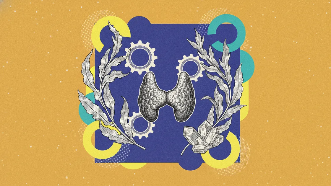 Thyroïde : le cycle de l'iode, organification et déiodinases