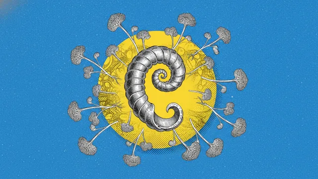 Helicobacter pylori : comprendre et agir naturellement