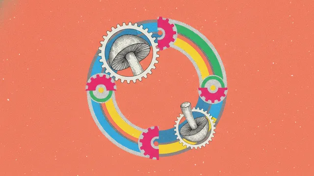 Hyperprolactinémie et candidose : la boucle méconnue