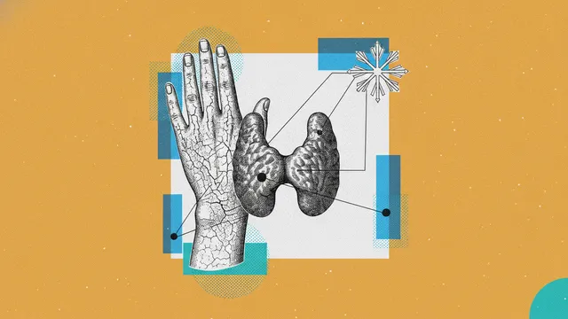 Hypothyroïdie et peau : froid, sécheresse et dermographisme, les signes que personne ne relie