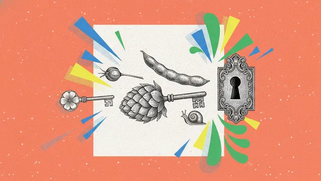 Phytoestrogènes : soja, houblon, lignans, le guide sans idées reçues