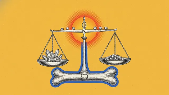 Parathyroïde : quand le calcium, le phosphore et la vitamine D déraillent