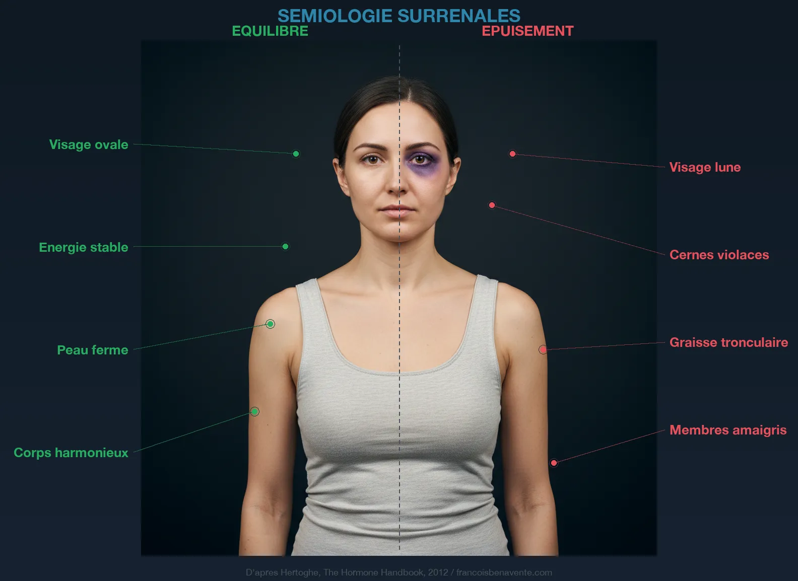 Sémiologie surrénales : signes cliniques visibles de l'épuisement surrénalien