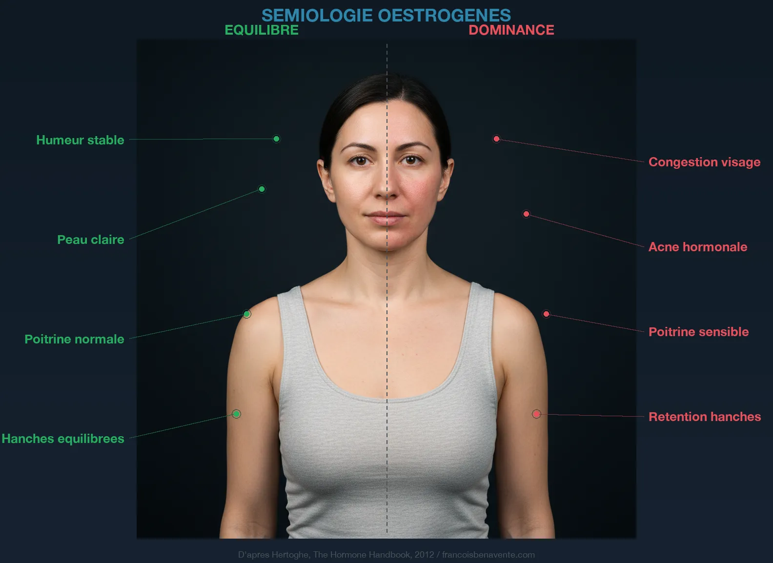 Sémiologie oestrogènes : signes cliniques visibles de la dominance oestrogénique