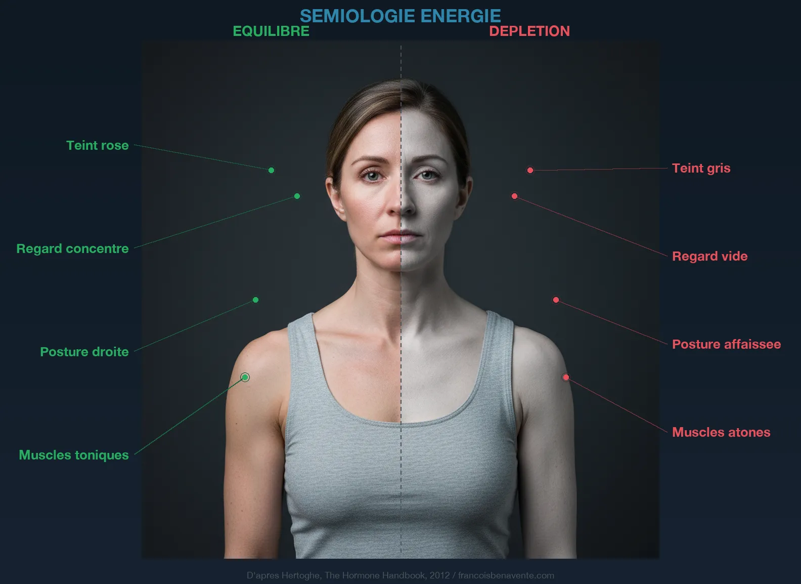 Sémiologie énergie : signes cliniques visibles de la déplétion mitochondriale