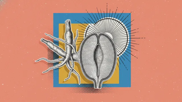 Surrenalopause : quand tes surrénales s'éteignent avant ta ménopause