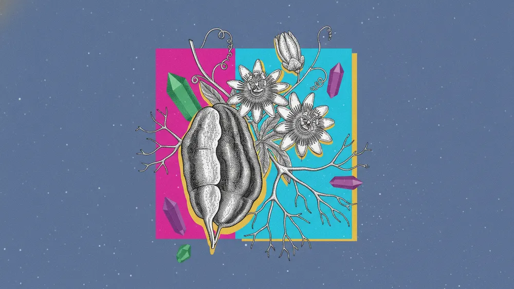 Neurotransmetteurs urinaires : interpréter ton profil Braverman