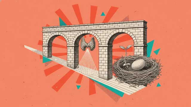 Thyroïde et fertilité : le verrou que personne ne lève