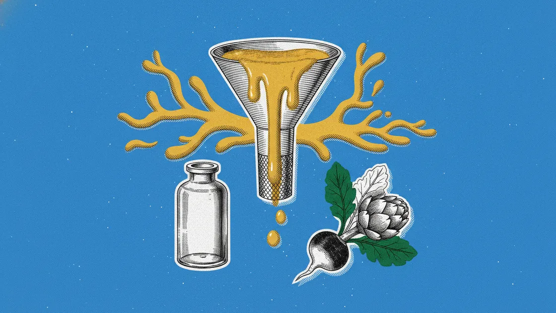Toxémie colloïdale : quand le mucus et les glaires encrassent