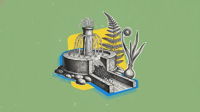 Vitalité et toxémie, le questionnaire de terrain qui dit tout sur ta santé
