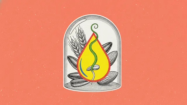 Vitamine E (tocophérol) : gardienne des membranes et de la fertilité