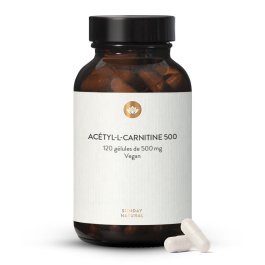 Acétyl-L-Carnitine
