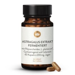 Astragale fermentée