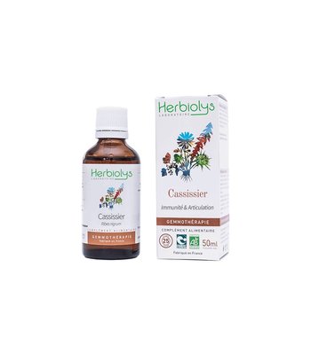 Cassis bourgeon (gemmothérapie)