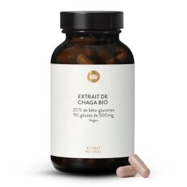 Chaga extrait 20% bêta-glucanes