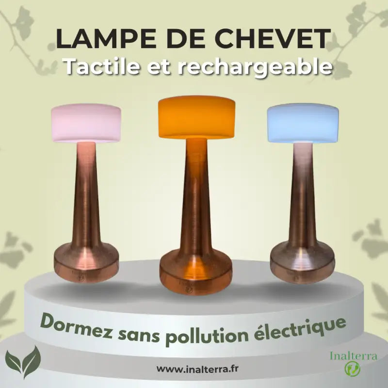 Terra-lampe de chevet rechargeable : photo 1