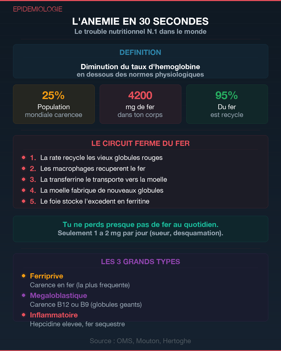Anémie : les 4 vraies causes qu'on ne cherche pas : Slide 2