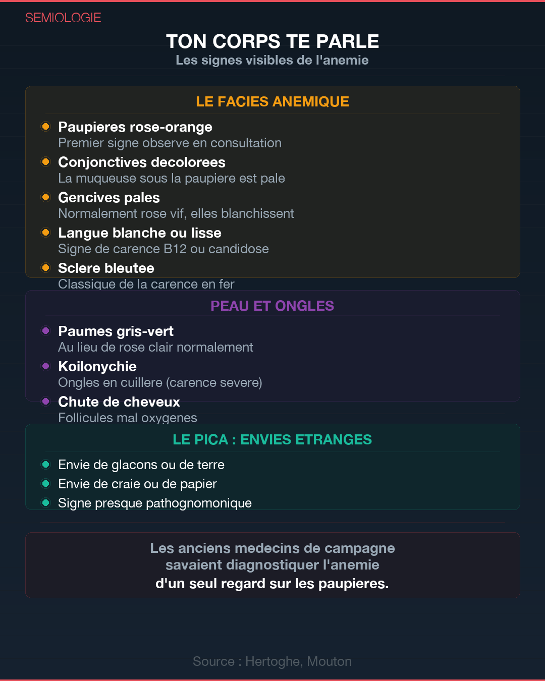 Anémie : les 4 vraies causes qu'on ne cherche pas : Slide 4