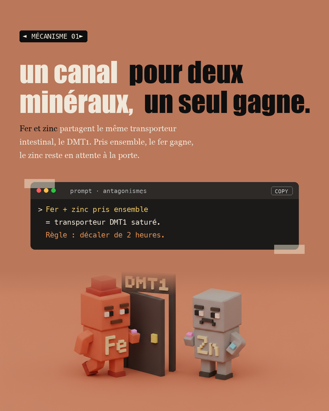 Antagonismes : quand deux nutriments s'annulent : Slide 3