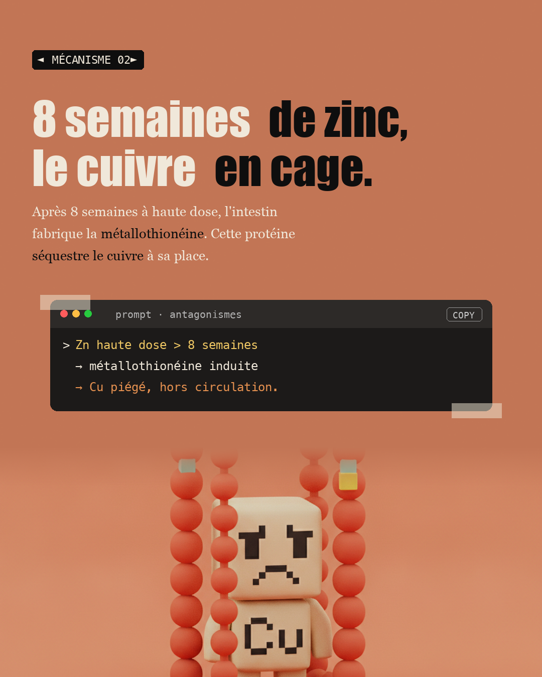 Antagonismes : quand deux nutriments s'annulent : Slide 4