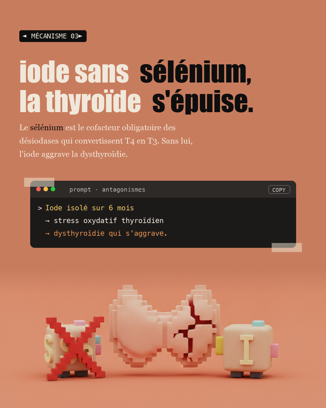 Antagonismes : quand deux nutriments s'annulent : Slide 5
