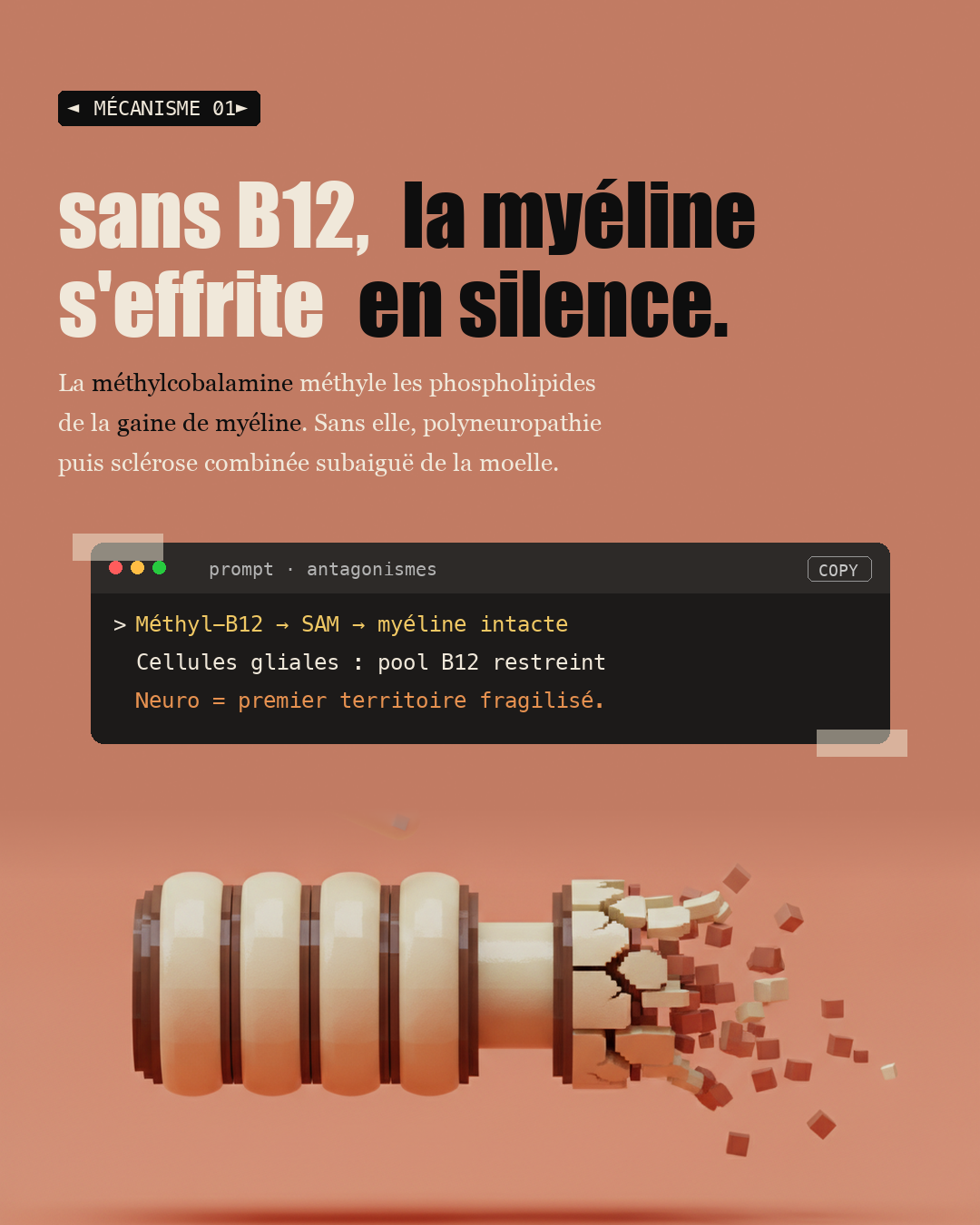 Vos oublis à 50 ans ne sont pas forcément Alzheimer : Slide 3