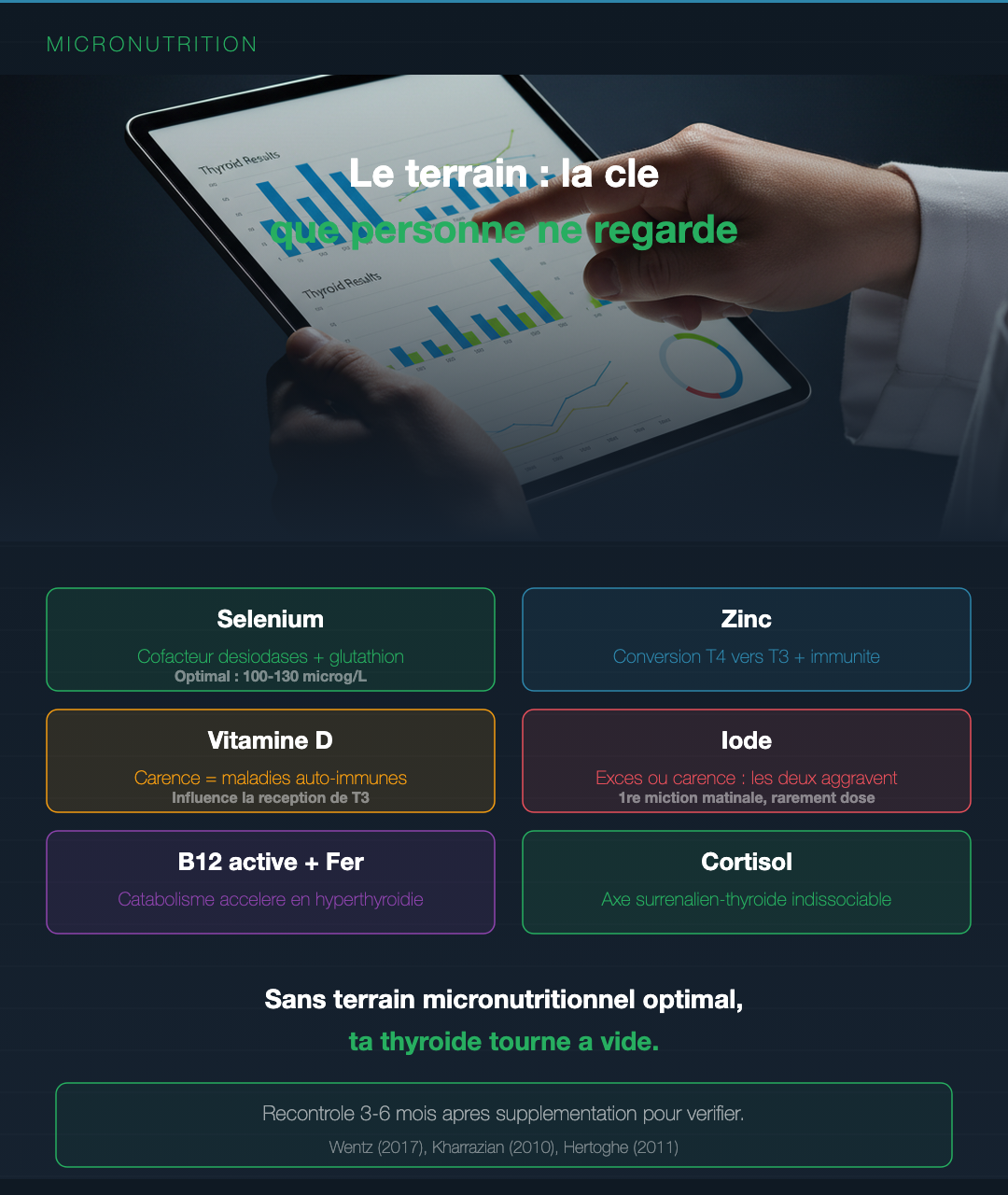 Basedow : lire un bilan thyroïdien complet : Slide 7