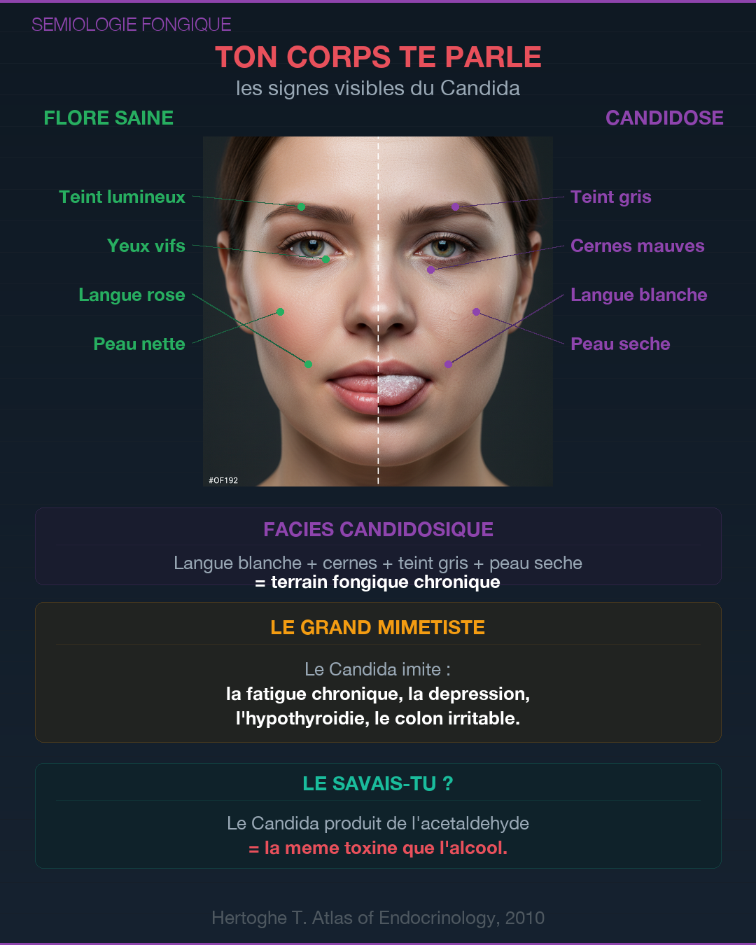 Candidose : quand le champignon prend le dessus : Slide 4