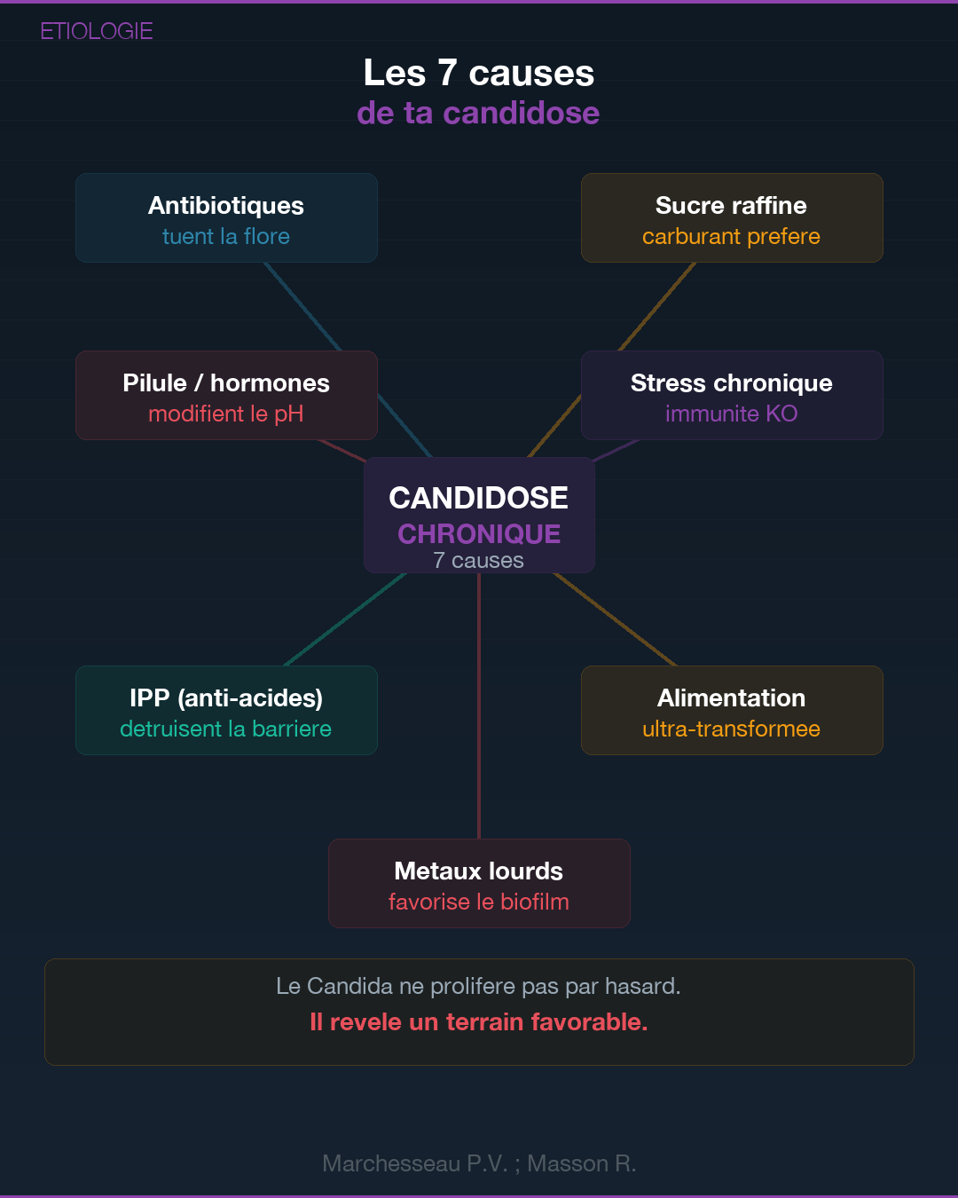 Candidose : quand le champignon prend le dessus : Slide 5