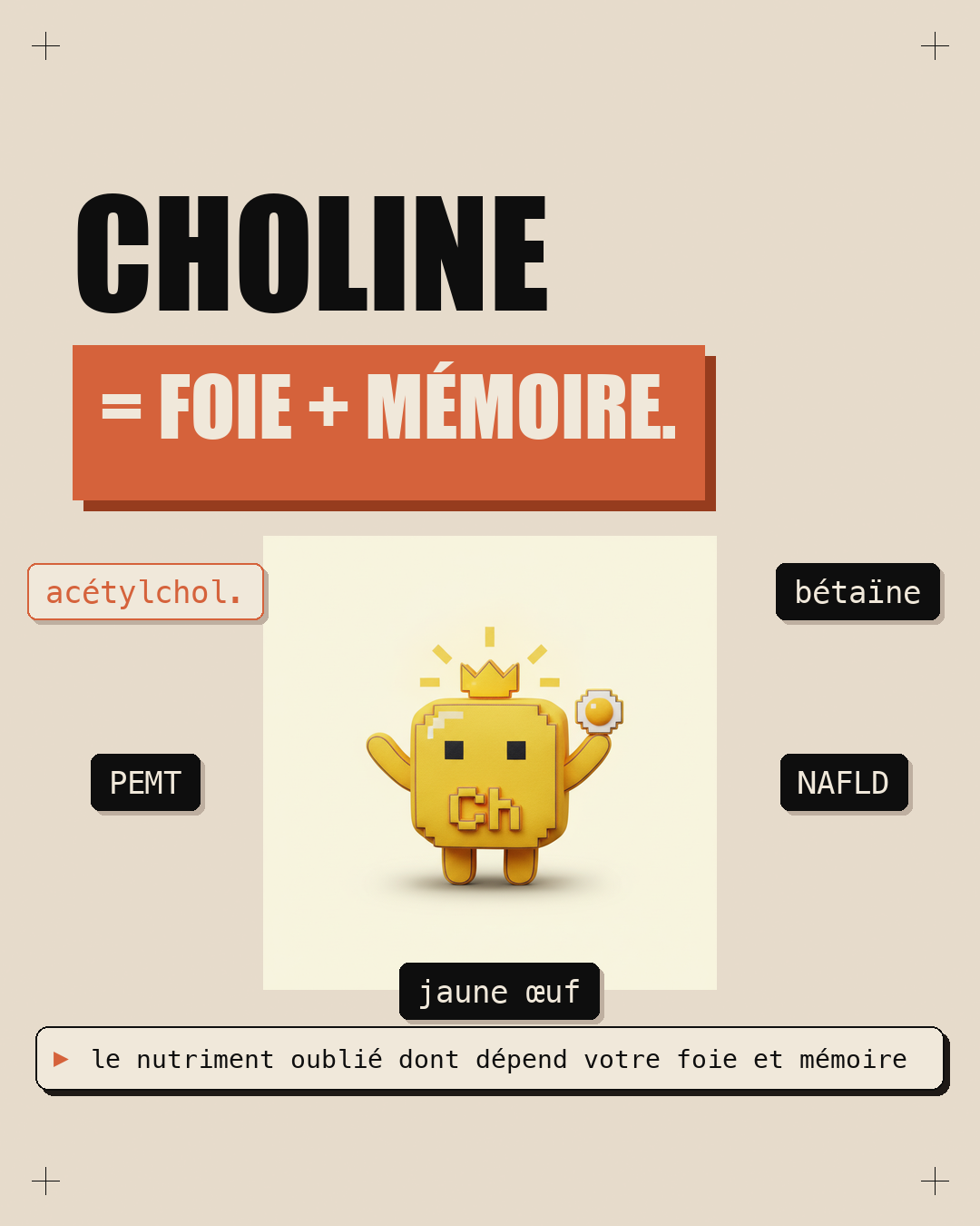 Choline : le nutriment oublié du foie et du cerveau