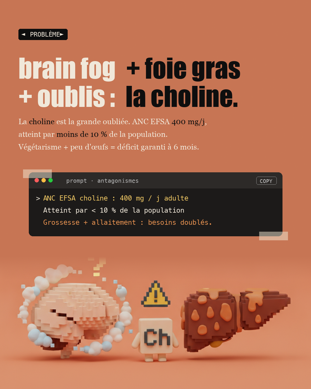 Choline : le nutriment oublié du foie et du cerveau : Slide 2