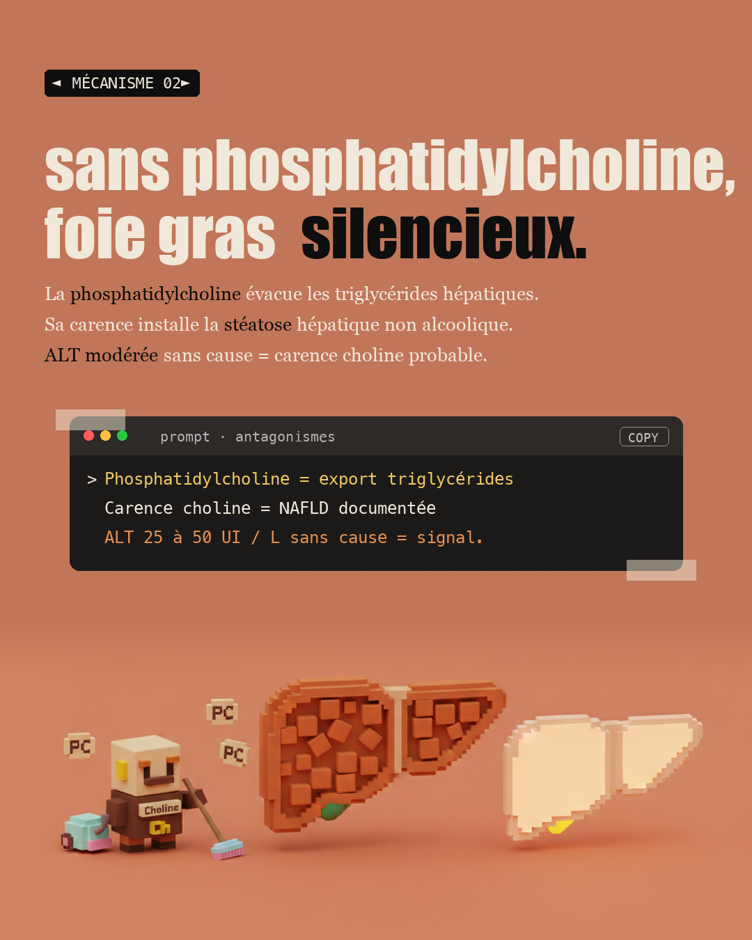 Choline : le nutriment oublié du foie et du cerveau : Slide 4