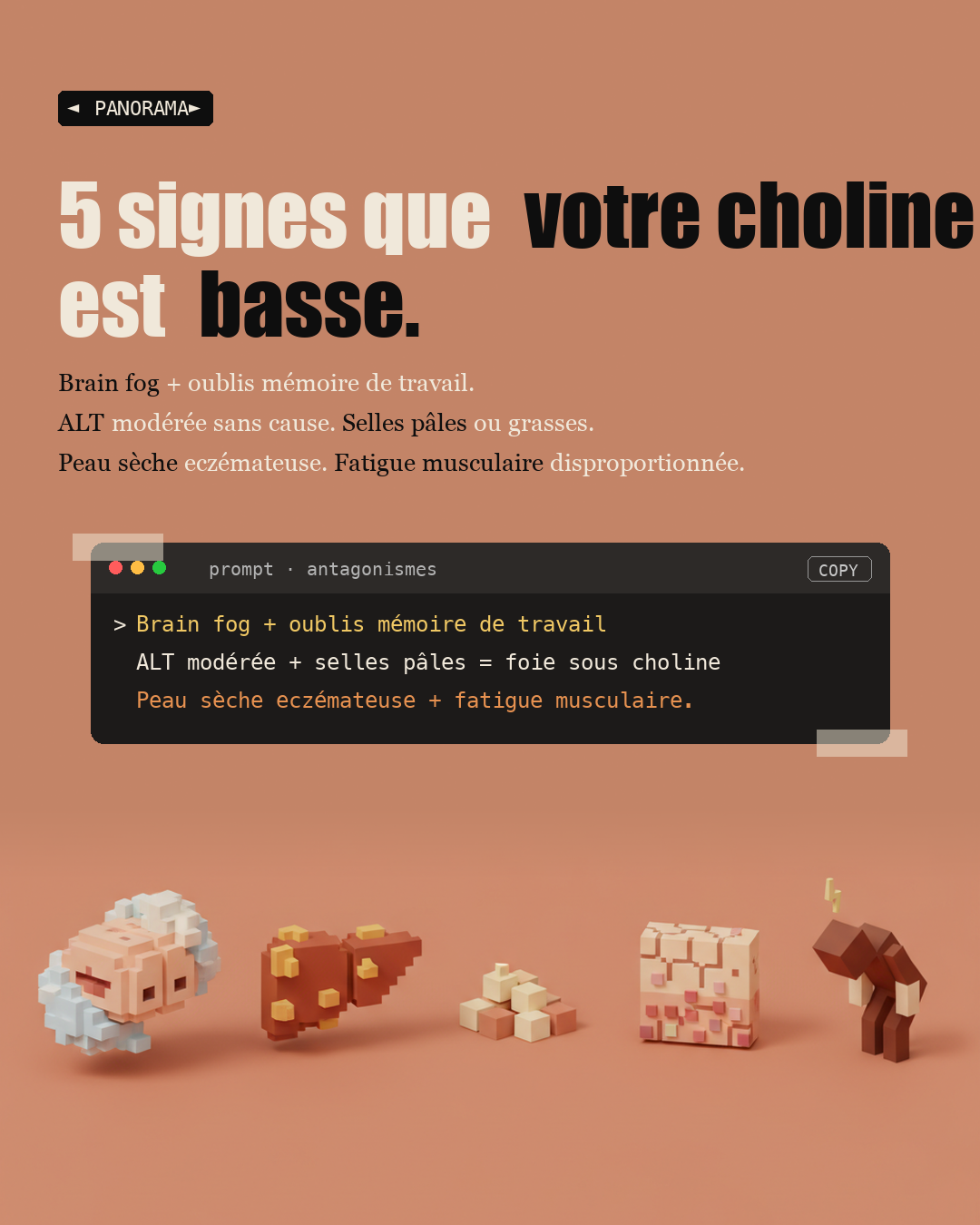 Choline : le nutriment oublié du foie et du cerveau : Slide 7