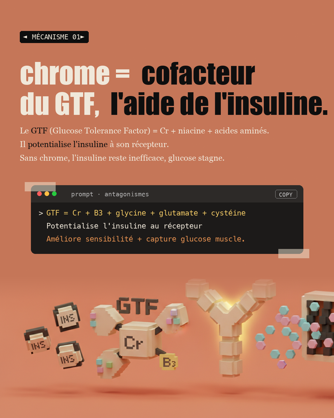 Chrome : l'oligo qui affine ta glycémie : Slide 3