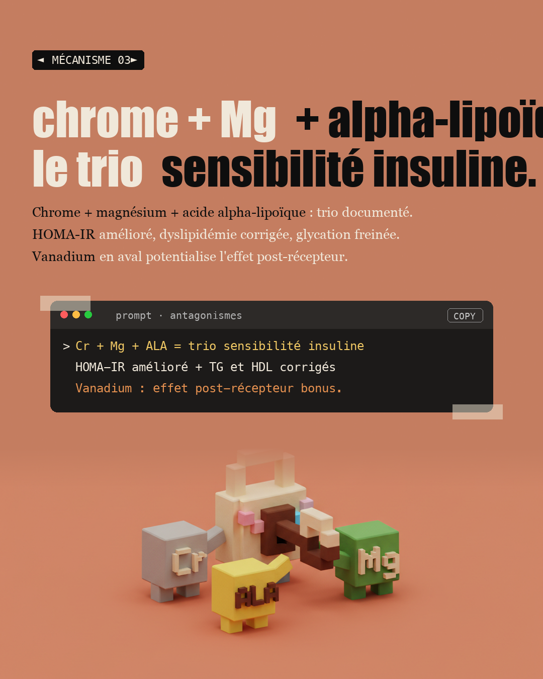Chrome : l'oligo qui affine ta glycémie : Slide 5