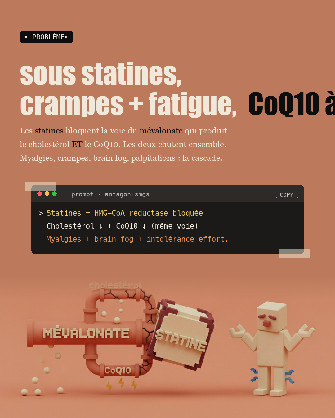 CoQ10 : le nutriment volé par les statines : Slide 2