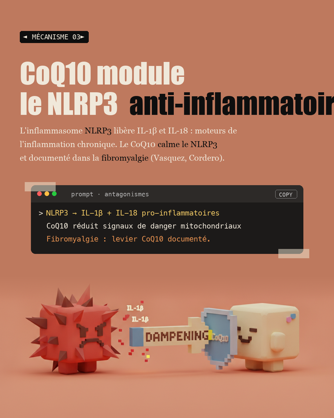 CoQ10 : le nutriment volé par les statines : Slide 5