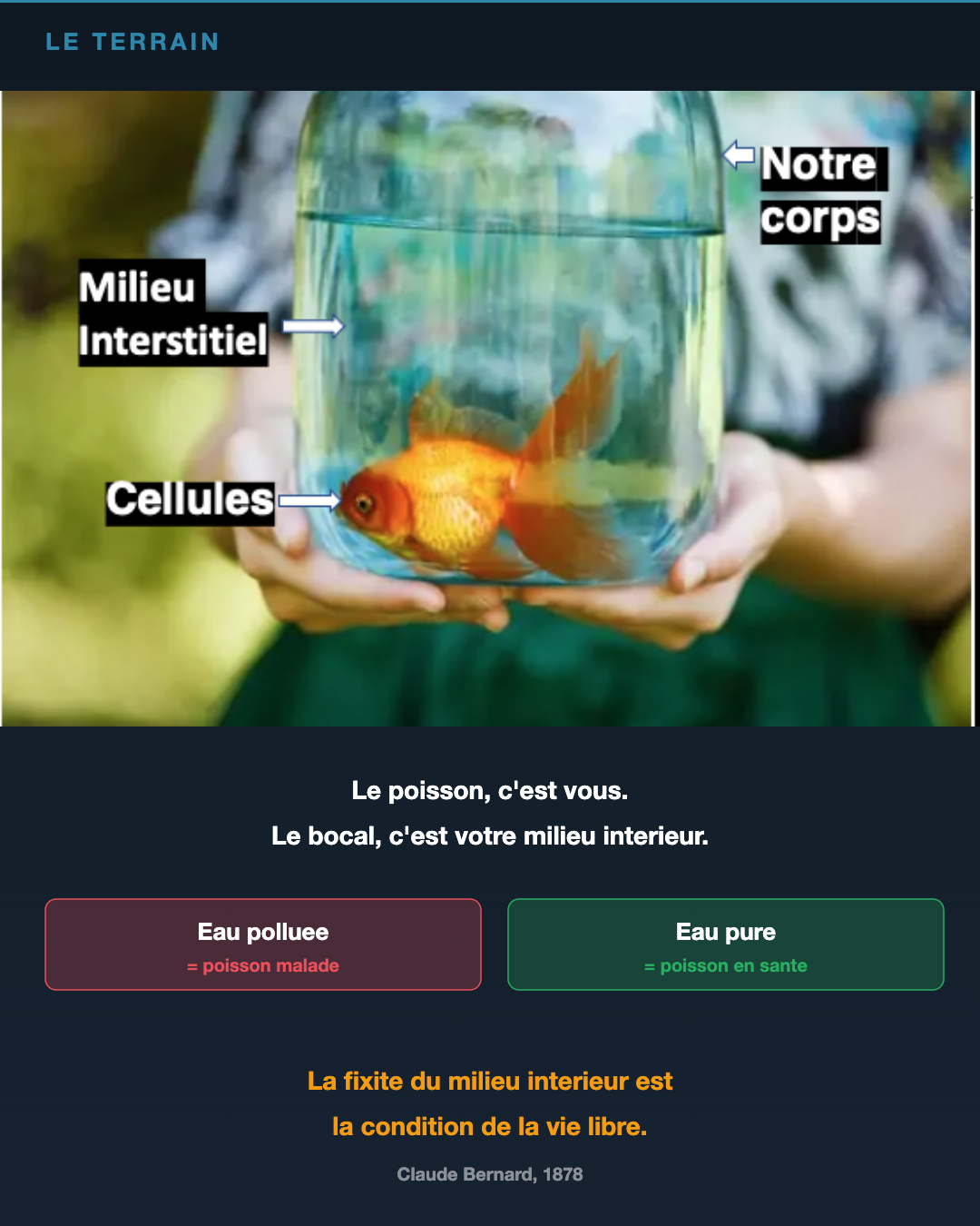 Eau de source : le classement BEV : Slide 2