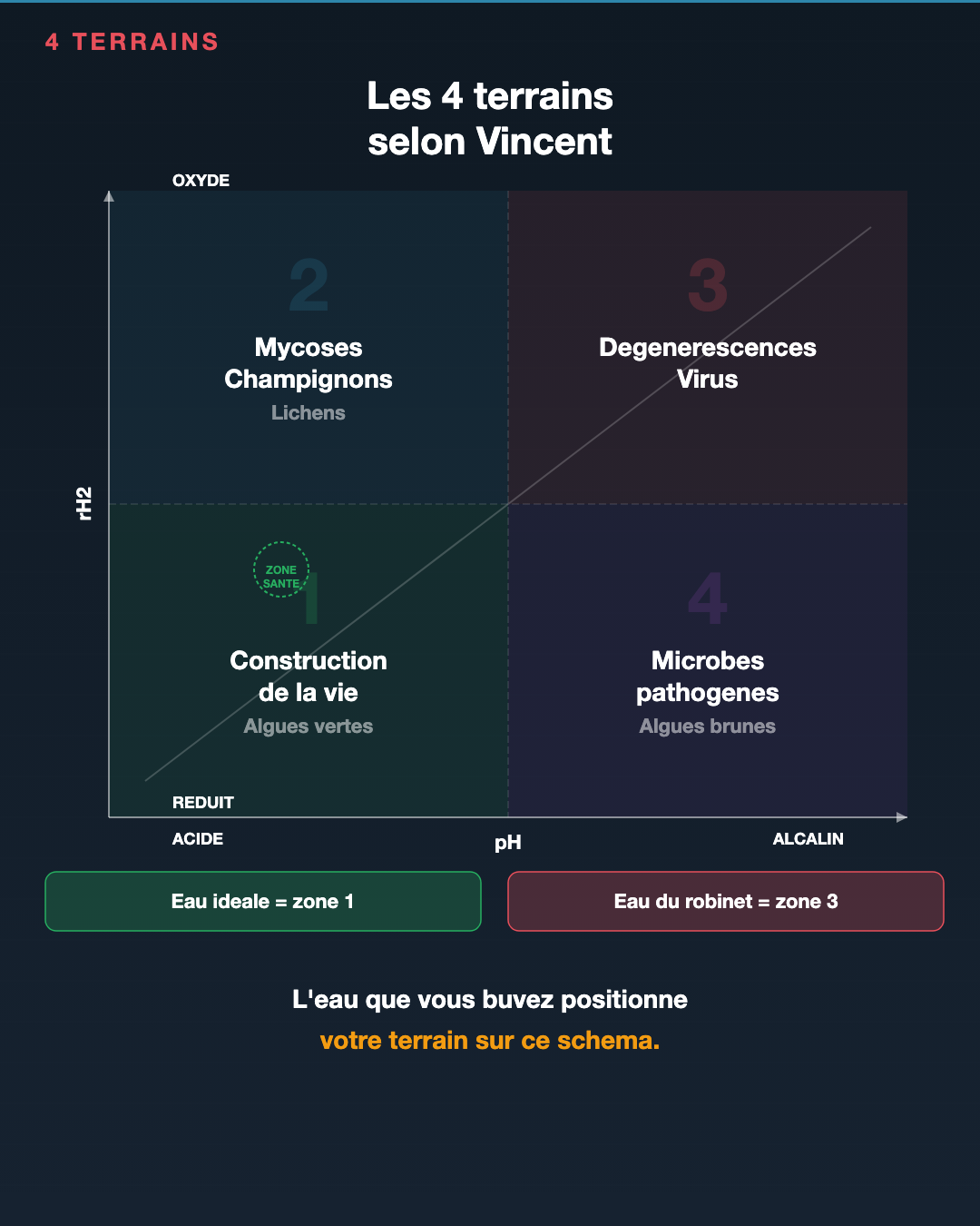 Eau de source : le classement BEV : Slide 4