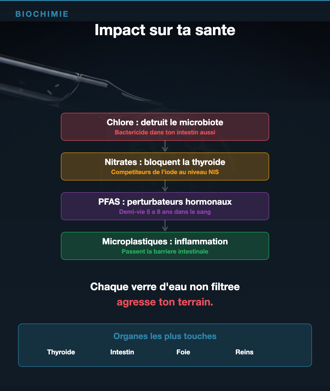 Eau : filtrer sans se ruiner : Slide 3