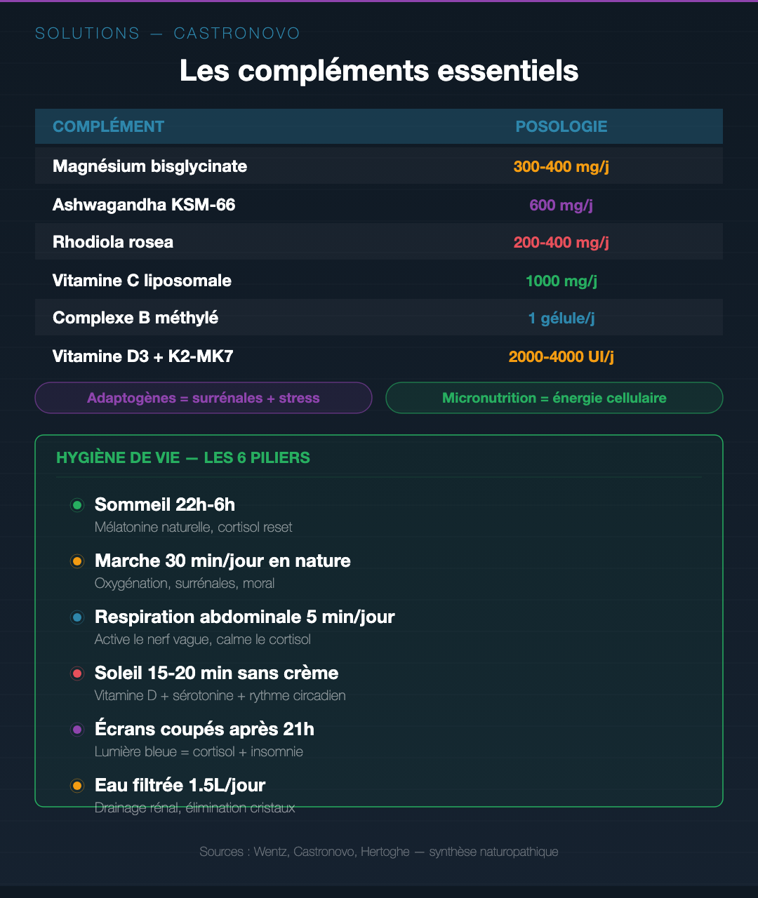 Fatigue chronique : dépister les 6 racines cachées : Slide 9