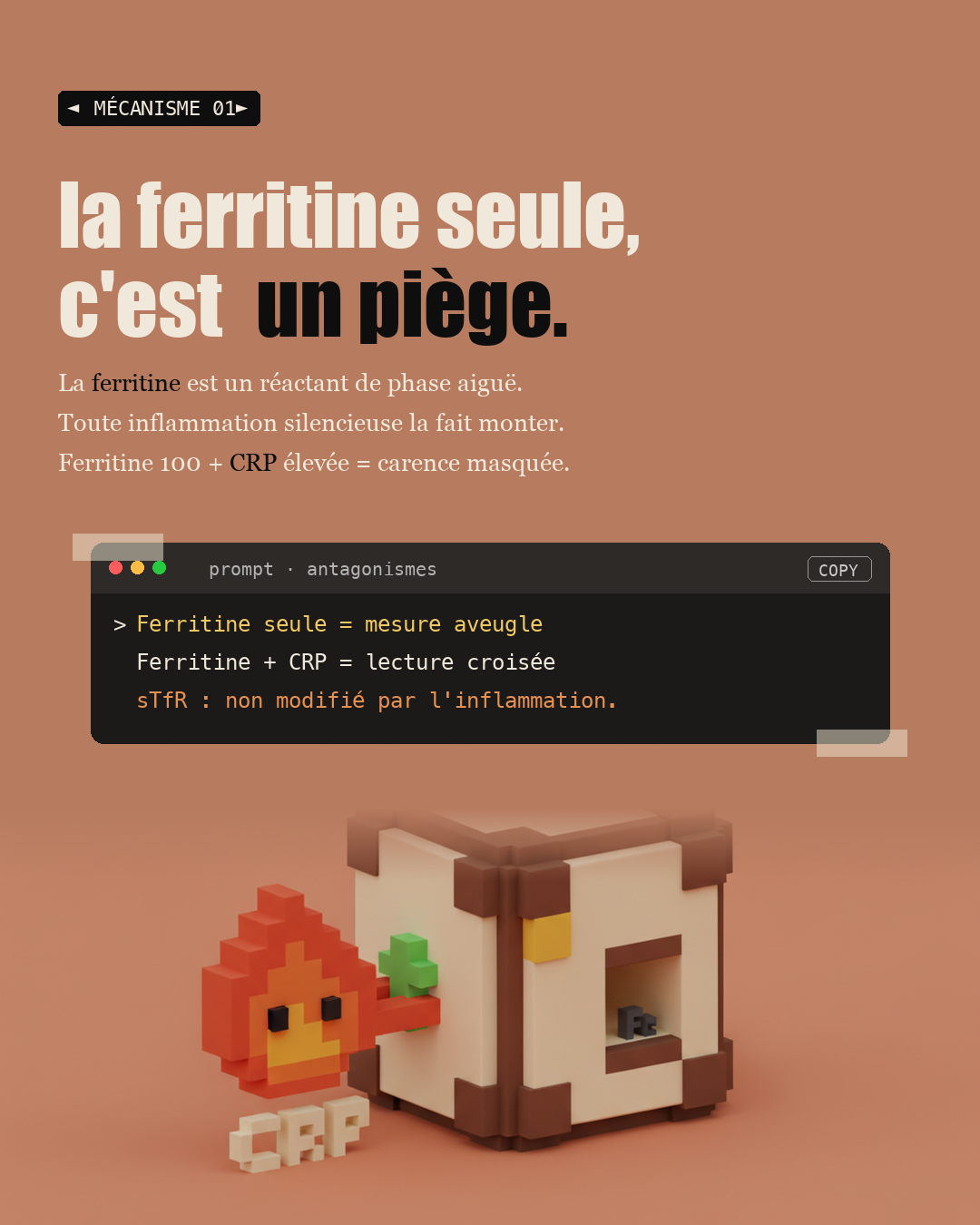 Ferritine : la carence cachée à 30 ng/mL : Slide 3