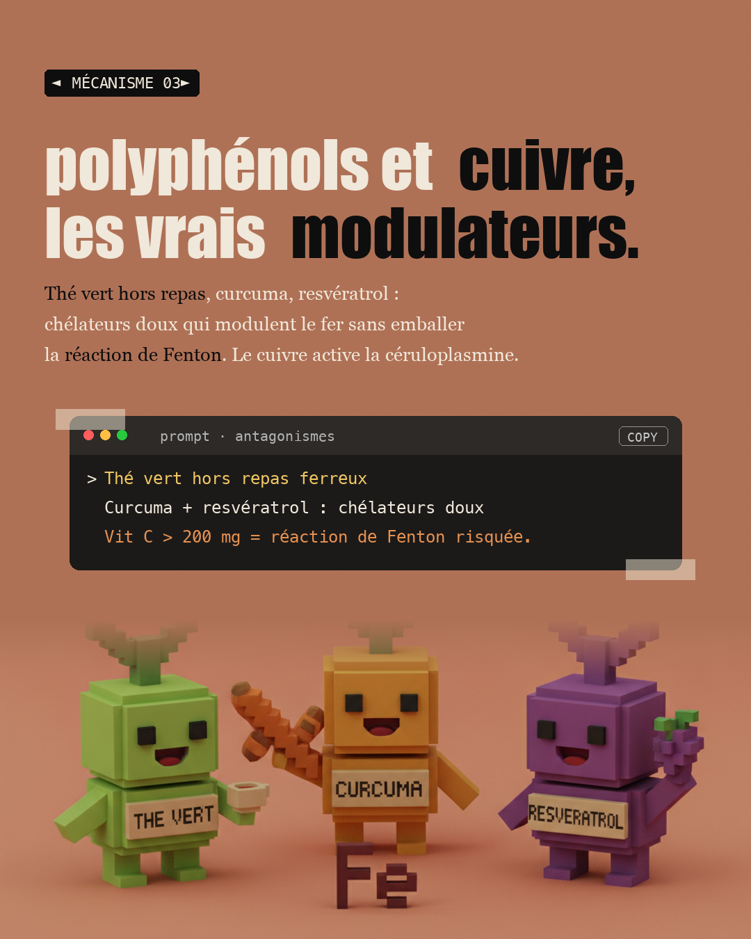 Ferritine : la carence cachée à 30 ng/mL : Slide 5