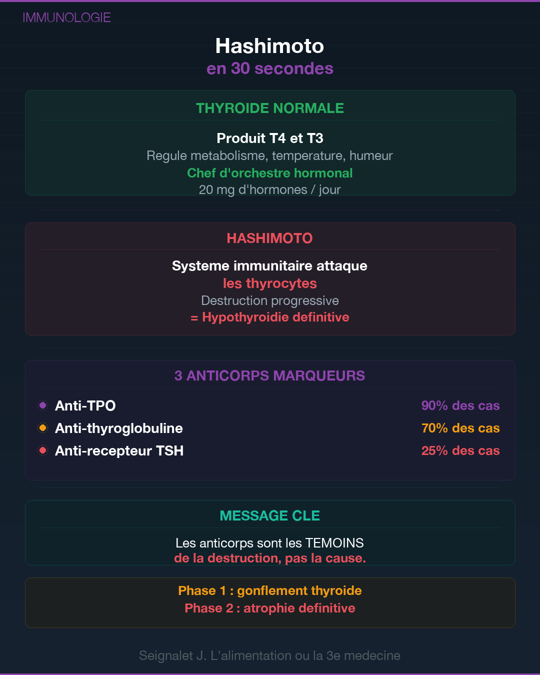 Hashimoto : ce que ta thyroïde essaie de te dire : Slide 2